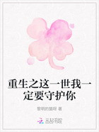 重生之这一世我一定要守护你在线阅读