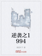 逆袭之1994在线阅读