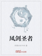风剑圣者在线阅读
