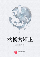 欢畅大领主