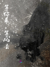等你来，等风去