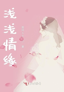 淺淺情緣