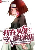 我在火影矢量操纵