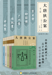 大唐狄公案（第三辑套装）