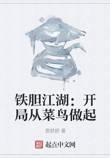 鐵膽江湖：開局從菜鳥做起