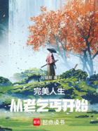 完美人生,从老乞丐开始在线阅读