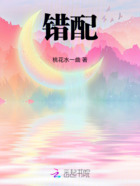 错配在线阅读