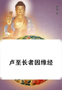 盧至長者因緣經