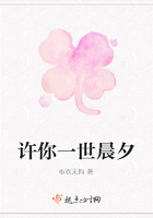 許你一世晨夕在線閱讀