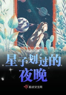 星子劃過的夜晚