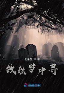 故欹夢中尋