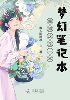 假如這是一本夢幻筆記本在線閱讀
