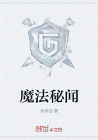 魔法秘闻在线阅读