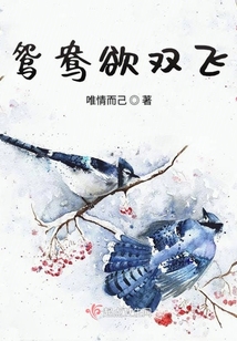 鴛鴦欲雙飛