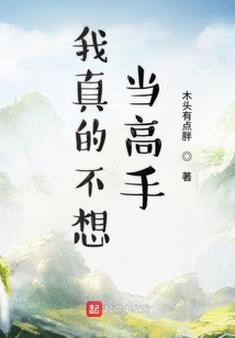 我真的不想當(dāng)高手