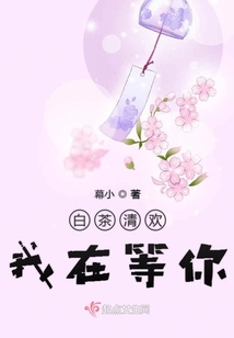 白茶清歡我在等你