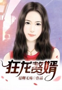 狂龍贅婿