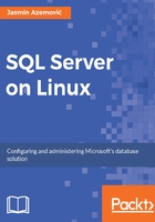 SQL Server on Linux在线阅读