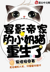 宴影帝家的小奶貓重生了