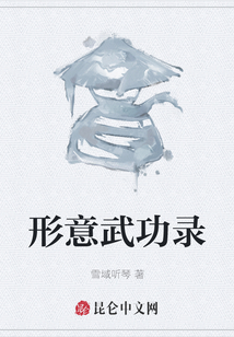 形意武功錄