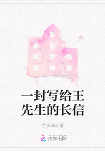 一封寫給王先生的長信