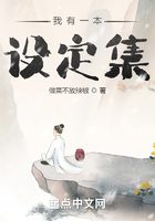 我有一本设定集