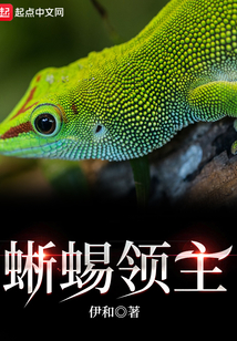 蜥蜴領(lǐng)主