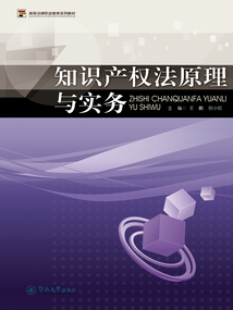 知識產(chǎn)權(quán)法原理與實(shí)務(wù)