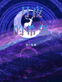月夜的希望