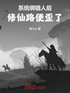 系统绑错人后，修仙路便歪了在线阅读