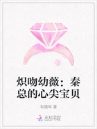 炽吻幼薇:秦总的心尖宝贝在线阅读
