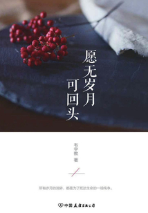 愿無歲月可回頭