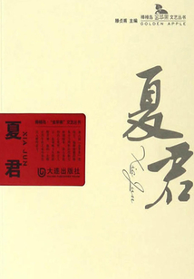 夏君（棒棰島·“金蘋果”文藝叢書）