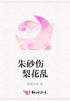 朱砂伤 梨花乱在线阅读