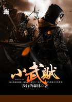 小武賊在線閱讀