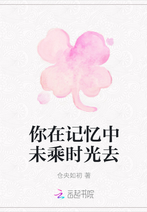 你在記憶中未乘時光去