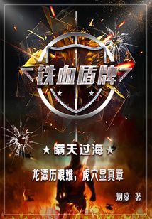 鐵血盾牌2：瞞天過海
