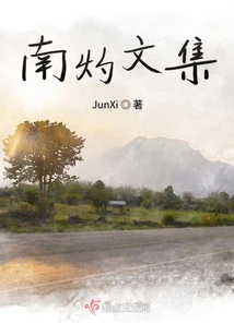 南灼文集
