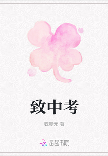 致中考