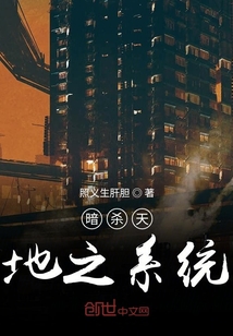 暗殺天地之系統