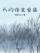 我的作文合集