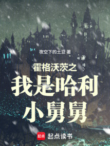 霍格沃茨之我是哈利小舅舅在线阅读