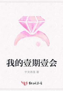 我的壹期壹会