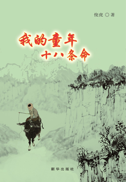 我的童年十八条命 封面