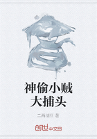 神偷小贼大捕头在线阅读