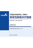 中国临床肿瘤学会(CSCO)原发性肺癌诊疗指南 2018.V1