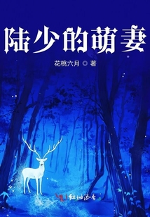 陸少的萌妻