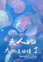 夫人她大概是頓悟了在線閱讀