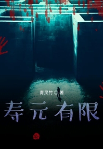 壽元有限