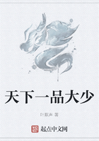 天下一品大少